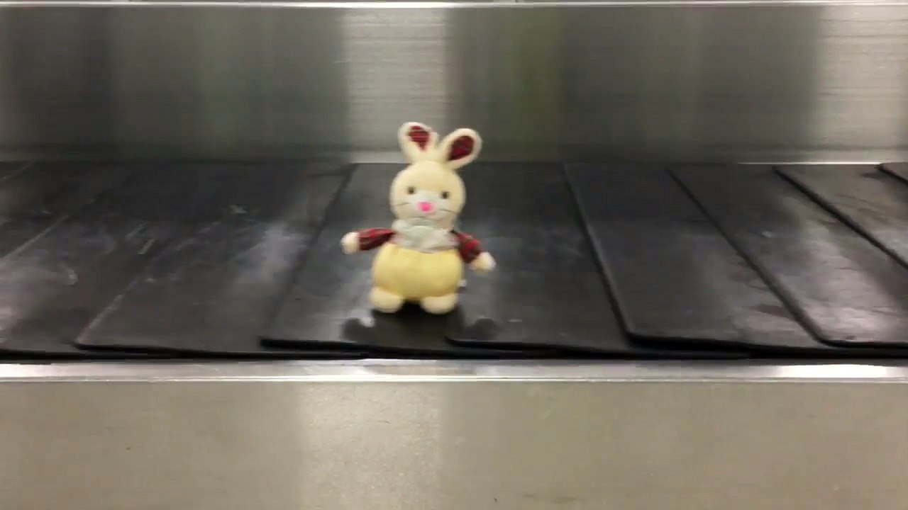 Des doudous perdus retrouveront-ils leur propriétaire grâce à l'aéroport de Glasgow ?