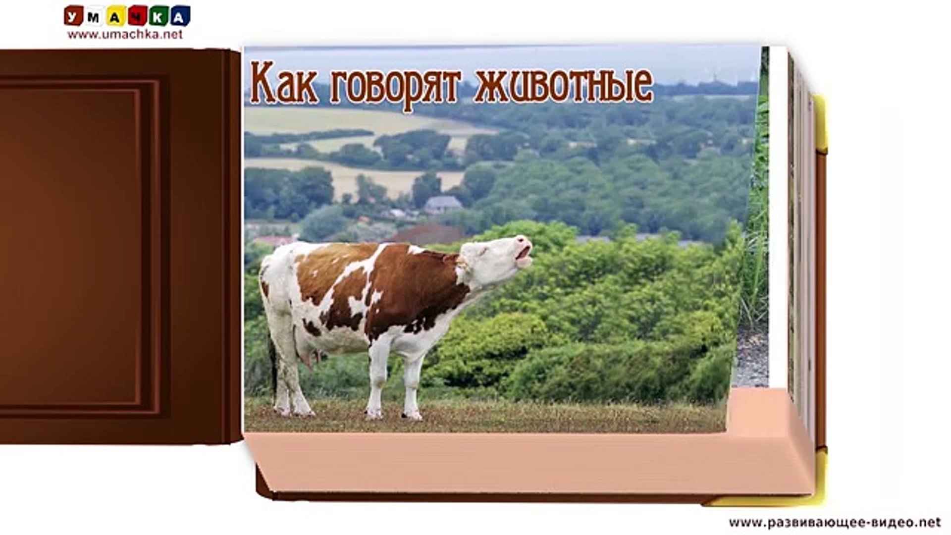 ⁣Как говорят животные (звуки животных) - развивающее видео для детей (1)