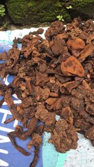 Ngọc cẩu khô ngâm rượu