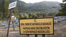 Ardahan Kafkas Arısı Gen Merkezinde Yangın