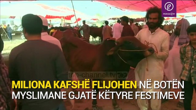 “Kurban Bajrami” në Pakistan, 10 milionë kafshë bëhen kurban