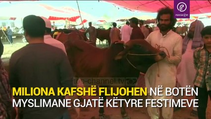 “Kurban Bajrami” në Pakistan, 10 milionë kafshë bëhen kurban