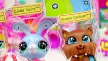 Mall Shopping Fun Littlest Pet Shop Set & Shopkins 5 Pack with Blind Bag - Toy Video Cookieswirlc
