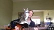 Şarkıya Gitarın Üstünde Eşlik Eden Kedi