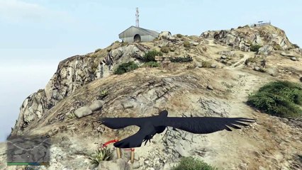 Grand Theft Auto 5 - Peyote Leaf LOCATION (Part 2)-jqOJUaEf87c