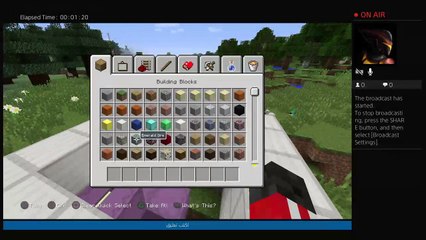 بث ماين كرافت حيكم (34)