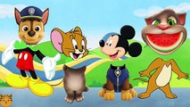 Wrong Heads Mickey Mouse Paw Patrol Tom and Jerry Talking Tom Finger Family Nursery