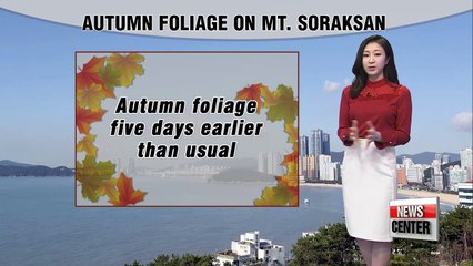 Autumn foliage faster than last year