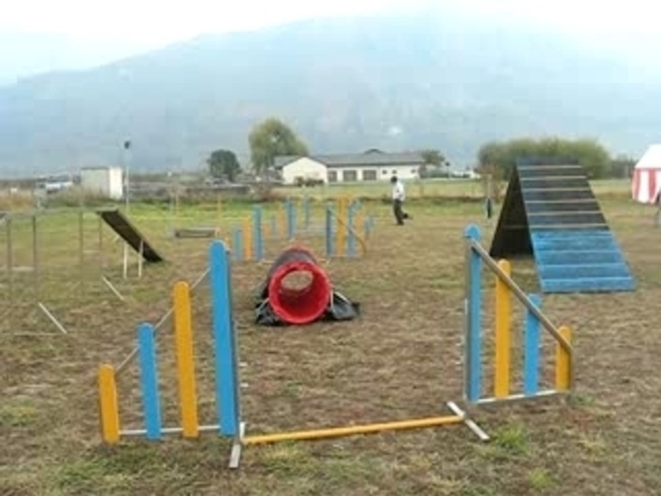 MVI_0291