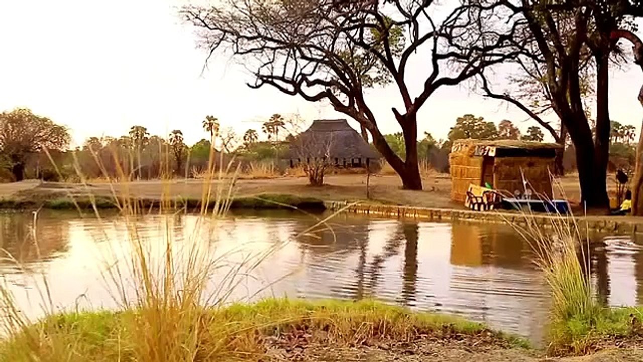 Paul O Gradys Animal Orphans S01E03