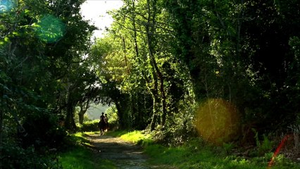 Cap Cotentin terre de cheval