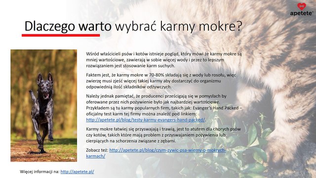 Karmy mokre dla psa i kota - jaką karmę wybrać?