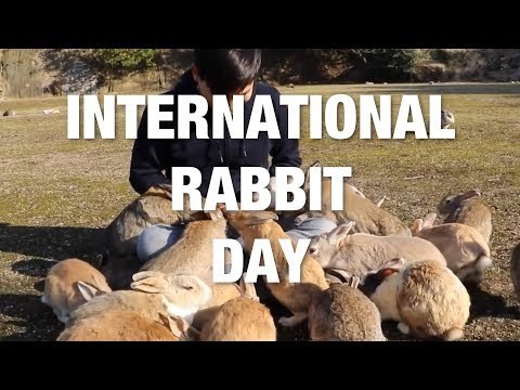 International Rabbit Day - The Ultimate Cute Bunny Compilation