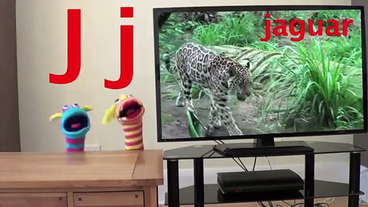 Learn Your ABC with Jingle Jeff - Animal Alphabet Song