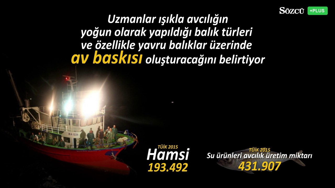 Işıkla avcılık ekosisteme zarar verecek