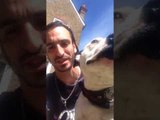 Man Protects Reputation of Bull Terriers With Rap