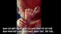 Sự sống thật là tuyệt vời!