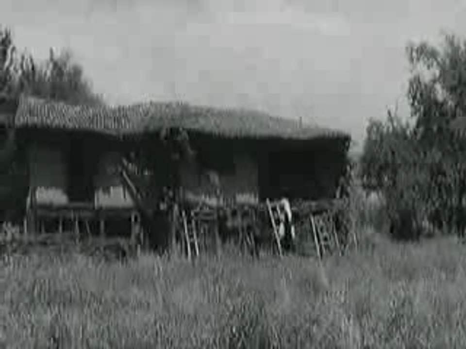 Maria neikova dvama