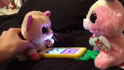 Beanie Boos: Anabelles Boyfriend!