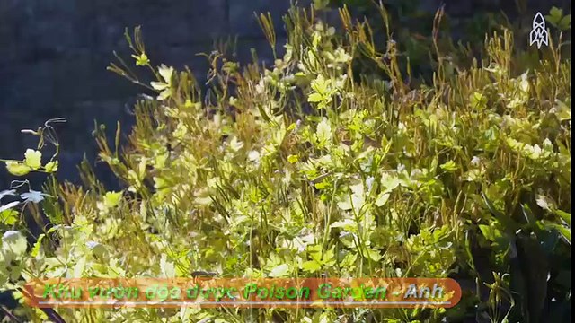 Những điểm du lịch chết người hút khách nhất thế giới