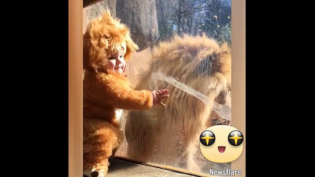 Vua sư tử bị chinh phục hoàn toàn trước em bé thiên thần (đã sửa)