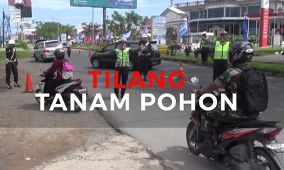 Tilang Tanam Pohon