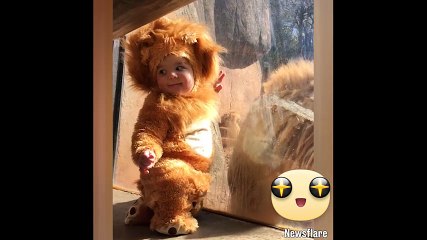 "Vua sư tử bị chinh phục hoàn toàn trước em bé thiên thần"