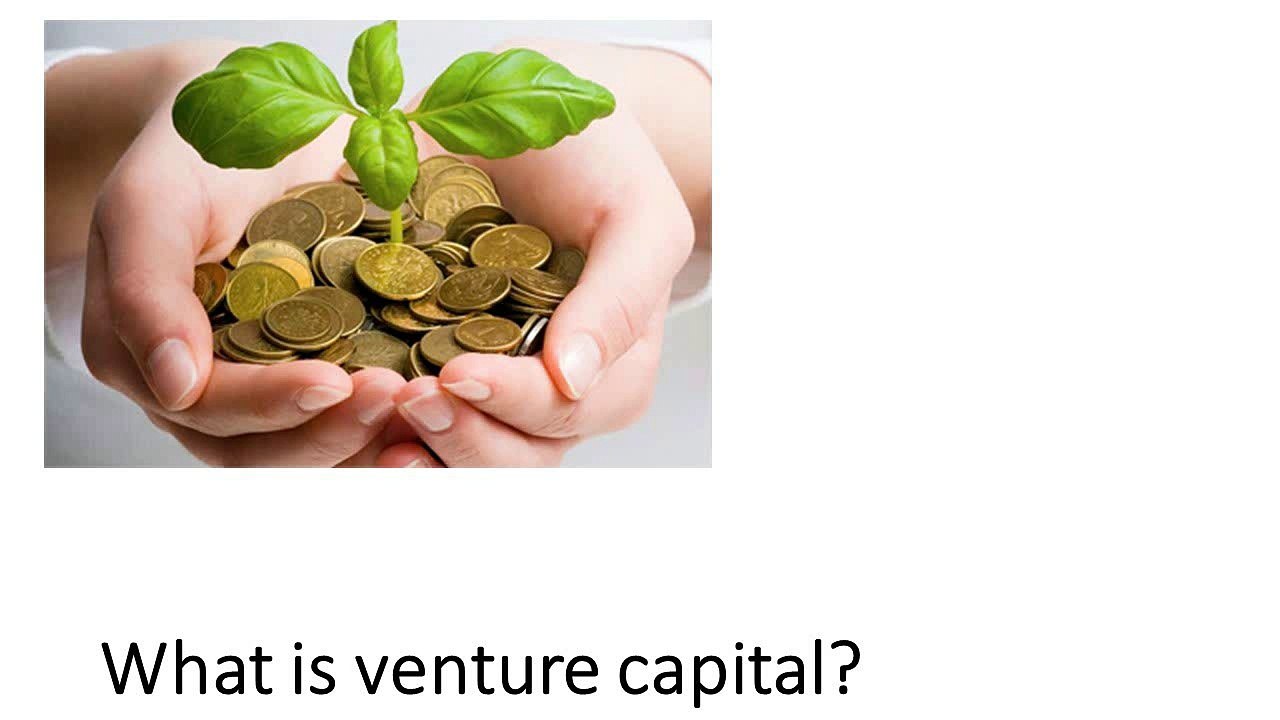 What is venture capital