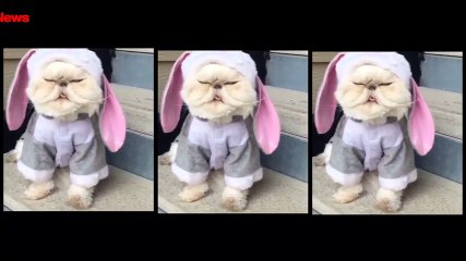 When you've been slaying