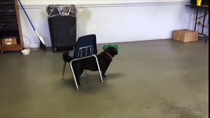 The things we do for comfort