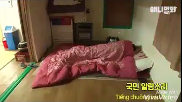 Chú chó giúp việc