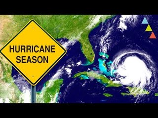 Cómo sobrevivir a un huracán