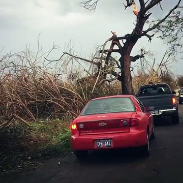 Il filme un paysage apocalyptique dans les Iles Vierges après l'ouragan