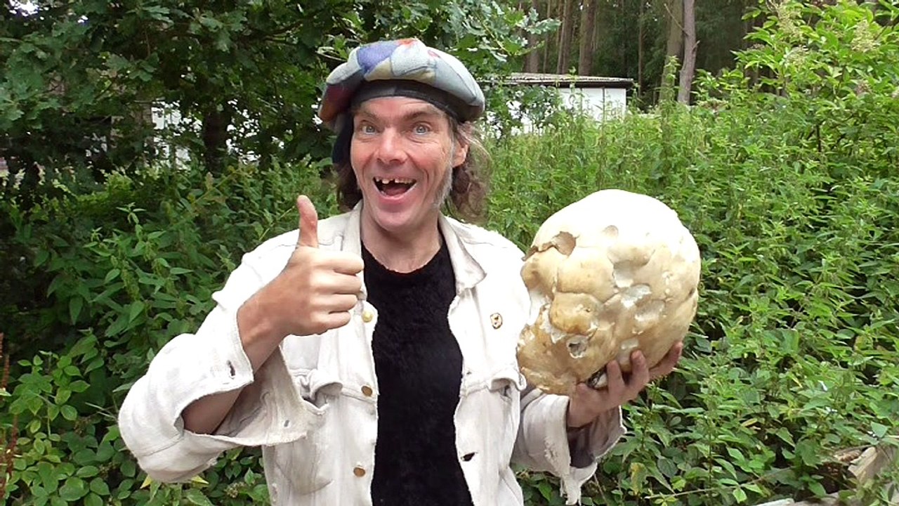 Beachboy VJ ETC getz veggy on biggest Island