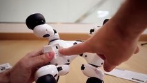 Zoomer: il cane robot per bambini - Spin Master