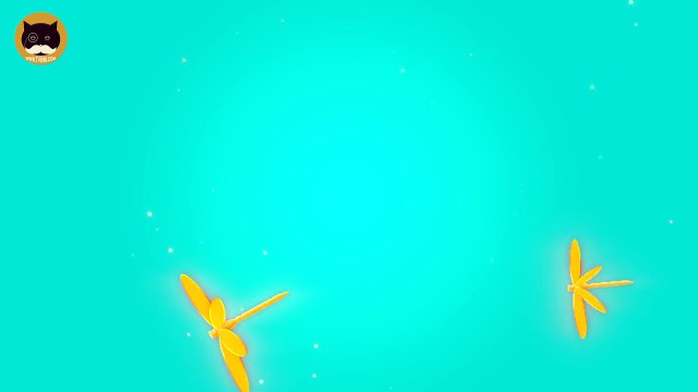 GAMES FOR CATS - Catching Dragonfly. ENTERTAINMENT VIDEO FOR CATS.