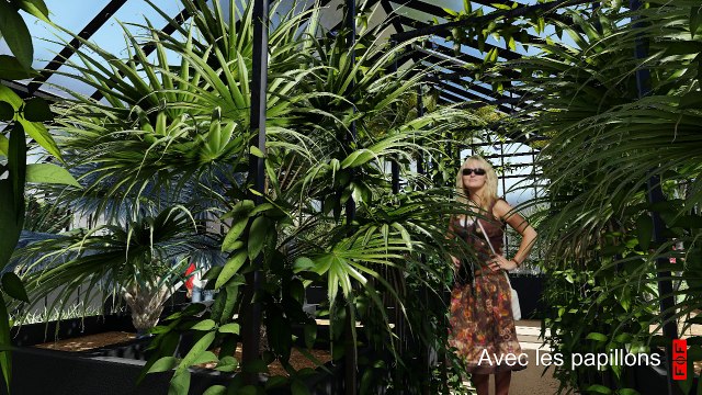 Serre papillons serre musée hist nat Tournai
