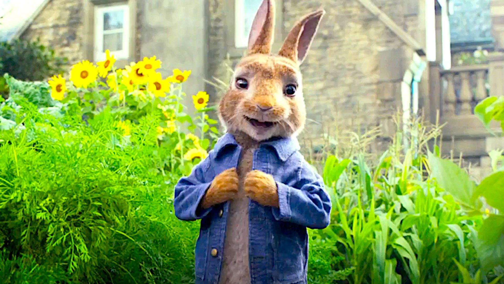 Peter rabbit best sale full movie dailymotion