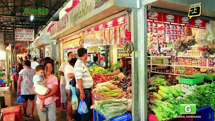 Vegetable Farming : Vegetable Farming in San Ildefonso, Bulacan | Agribusiness Philippines