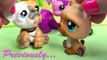 LPS Searching - Flashback Mommies Part 49 Littlest Pet Shop Series Video Movie LPS Mom Babies