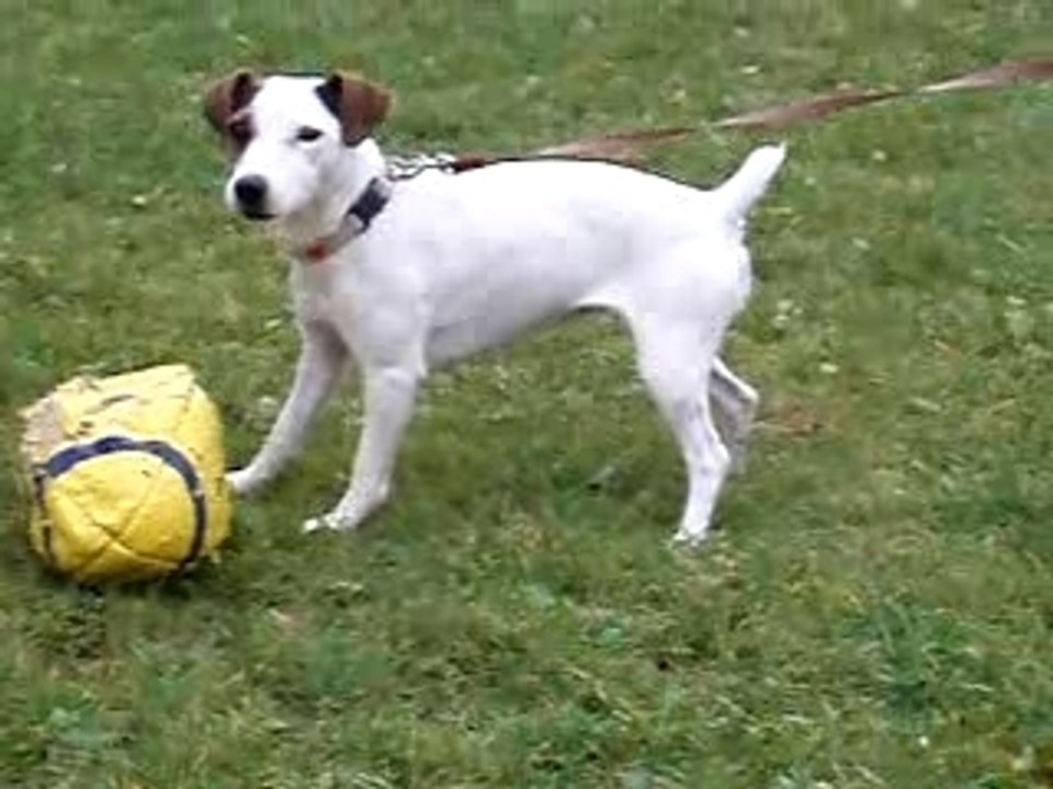 Astuce + Bounty et son ballon