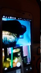 (Negative expo.)Security guard TELL ALL on the kenneka Jenkins case what a live demonstration