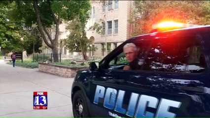 Students Attacked by Wasps Along Popular Path at Utah State University