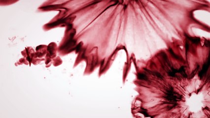 Vishwakarma (2) After Effects Tutorial