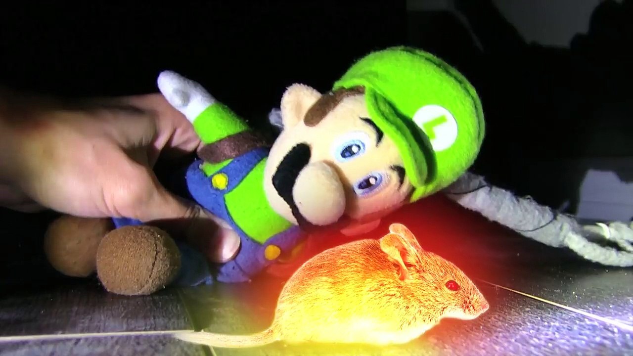 Luigis Mansion Episode 8