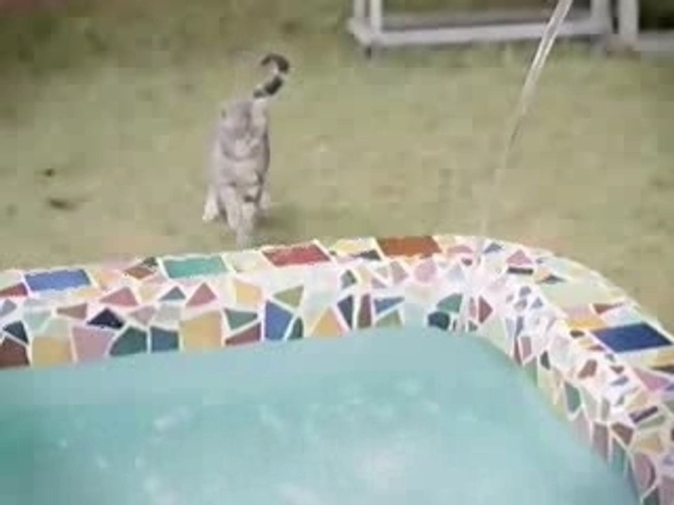 Gackt  ishan mermaid CM (part 2) ( gackt parle en francais)