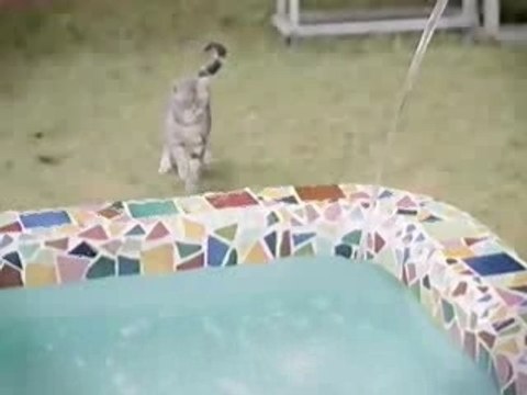 Gackt ishan mermaid CM (part 2) ( gackt parle en francais)