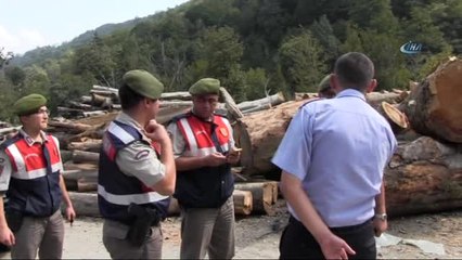 Köpekten Kaçarken Kaza Yaptı: 1 Ölü 1 Yaralı