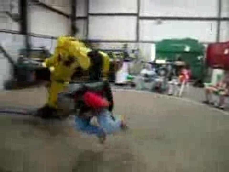 Robot  manege