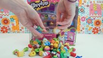 Shopkins SO COOL Fridge Toy Unboxing Review with Ariel